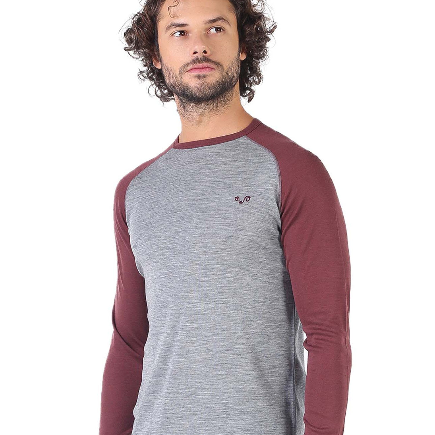 Men's Merino Brant Long Sleeve Tee Shirts Top Base Layer Purple